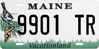 ME license plate 9901TR