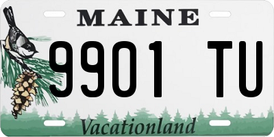 ME license plate 9901TU