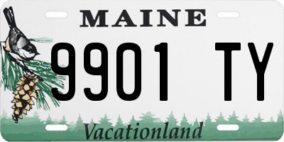 ME license plate 9901TY