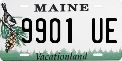 ME license plate 9901UE