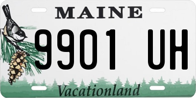 ME license plate 9901UH