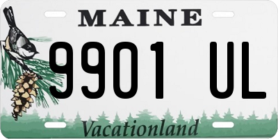 ME license plate 9901UL