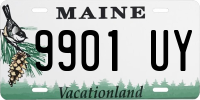 ME license plate 9901UY