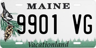 ME license plate 9901VG