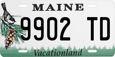 ME license plate 9902TD