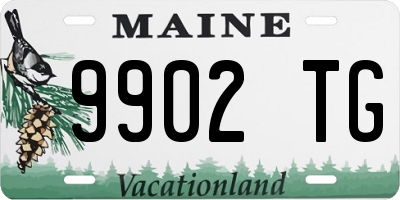 ME license plate 9902TG