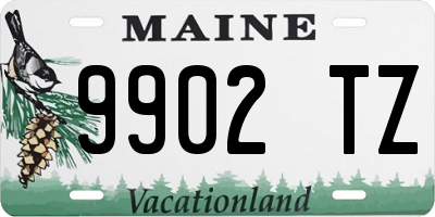 ME license plate 9902TZ