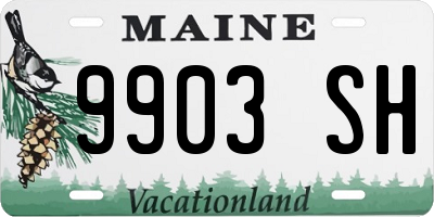 ME license plate 9903SH