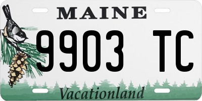 ME license plate 9903TC