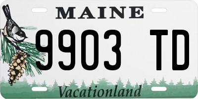 ME license plate 9903TD