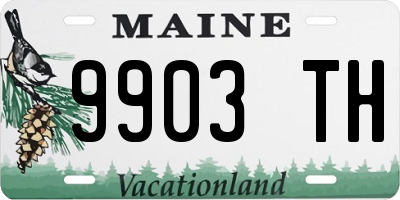 ME license plate 9903TH