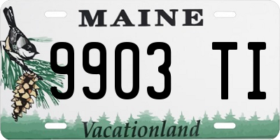 ME license plate 9903TI