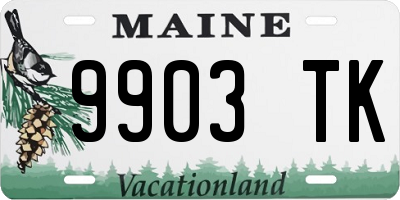 ME license plate 9903TK