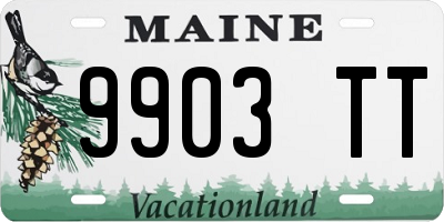 ME license plate 9903TT
