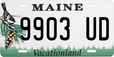 ME license plate 9903UD
