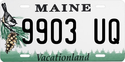 ME license plate 9903UQ