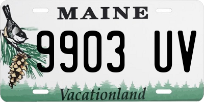 ME license plate 9903UV