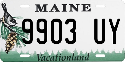 ME license plate 9903UY