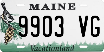 ME license plate 9903VG