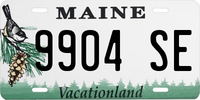 ME license plate 9904SE