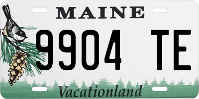 ME license plate 9904TE