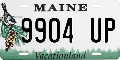 ME license plate 9904UP