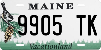 ME license plate 9905TK
