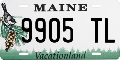 ME license plate 9905TL