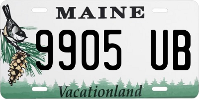 ME license plate 9905UB
