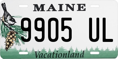 ME license plate 9905UL