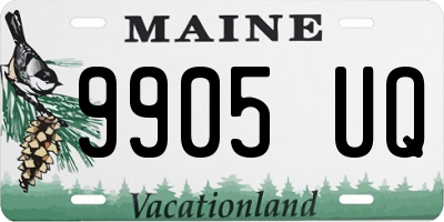 ME license plate 9905UQ