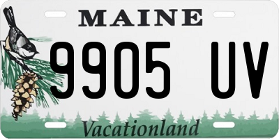 ME license plate 9905UV