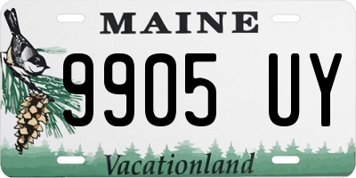 ME license plate 9905UY