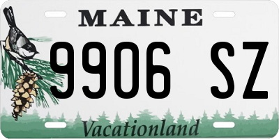 ME license plate 9906SZ