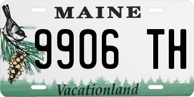 ME license plate 9906TH