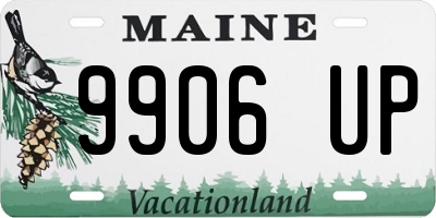 ME license plate 9906UP