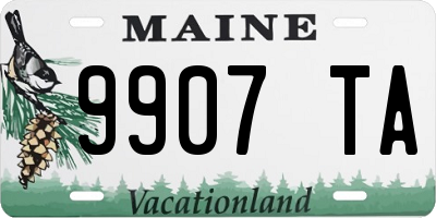ME license plate 9907TA