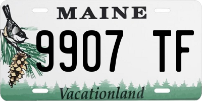 ME license plate 9907TF