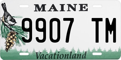 ME license plate 9907TM