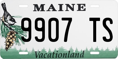 ME license plate 9907TS