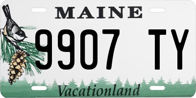 ME license plate 9907TY