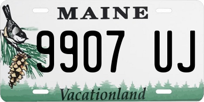 ME license plate 9907UJ