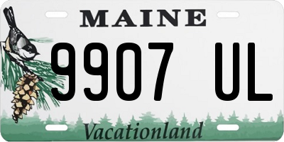 ME license plate 9907UL