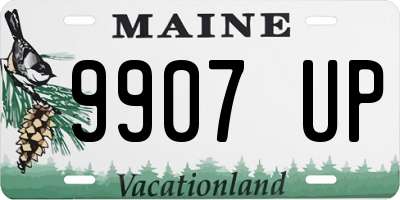ME license plate 9907UP