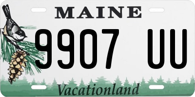 ME license plate 9907UU