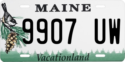 ME license plate 9907UW