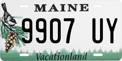 ME license plate 9907UY