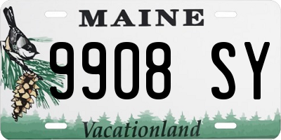 ME license plate 9908SY