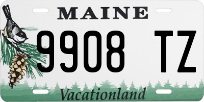 ME license plate 9908TZ