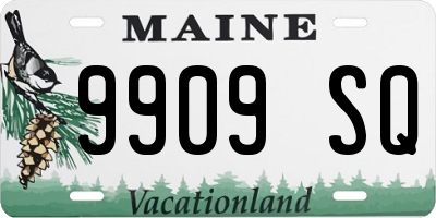 ME license plate 9909SQ